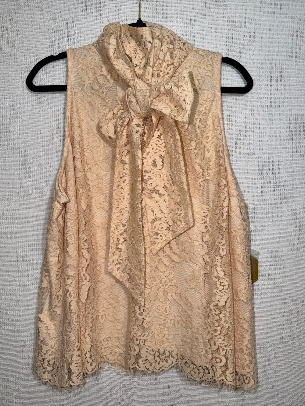 NWT Ryegrass Lace Mock Neck Tie Sleeveless Blouse - 1X